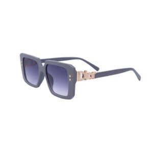 Dior luxury sunglasses at affoedable rate